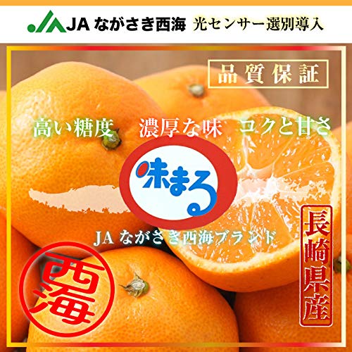 Amazon.co.jp: 味まる みかん SML 約 10kg 長崎県 JAながさき西海 高